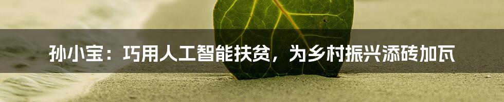 孙小宝：巧用人工智能扶贫，为乡村振兴添砖加瓦