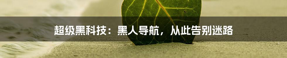 超级黑科技：黑人导航，从此告别迷路