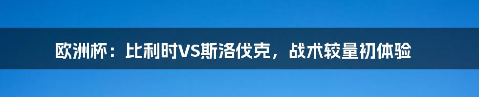 欧洲杯：比利时VS斯洛伐克，战术较量初体验