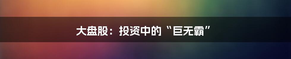 大盘股：投资中的“巨无霸”