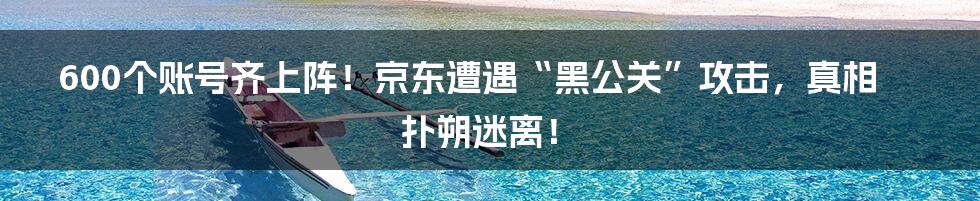 600个账号齐上阵！京东遭遇“黑公关”攻击，真相扑朔迷离！