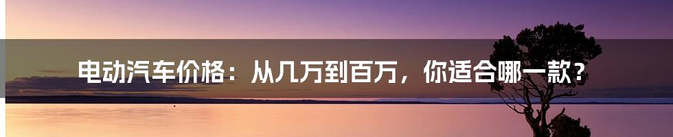 电动汽车价格：从几万到百万，你适合哪一款？