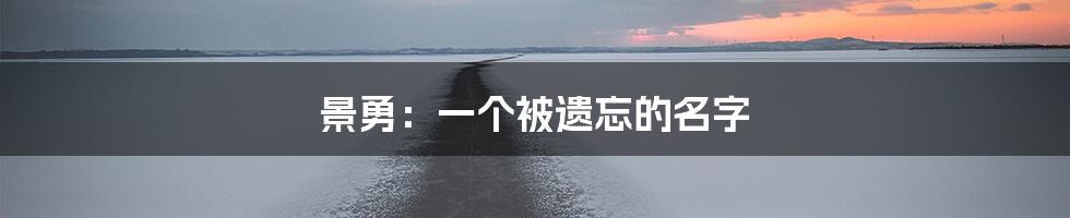 景勇：一个被遗忘的名字