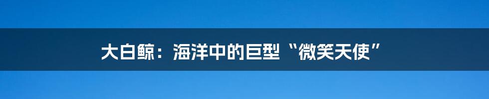 大白鲸：海洋中的巨型“微笑天使”