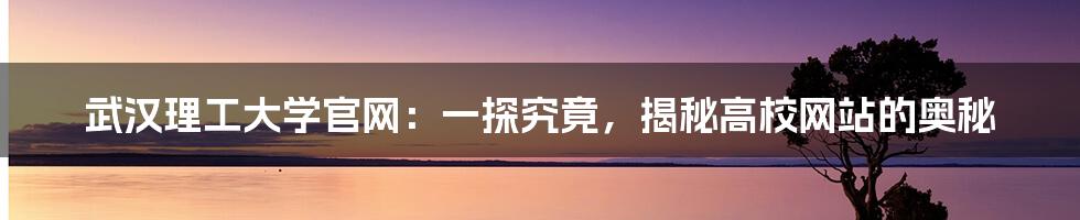 武汉理工大学官网：一探究竟，揭秘高校网站的奥秘