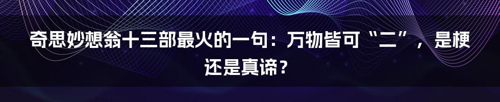 奇思妙想翁十三部最火的一句：万物皆可“二”，是梗还是真谛？