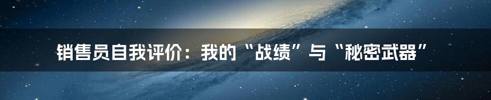 销售员自我评价：我的“战绩”与“秘密武器”