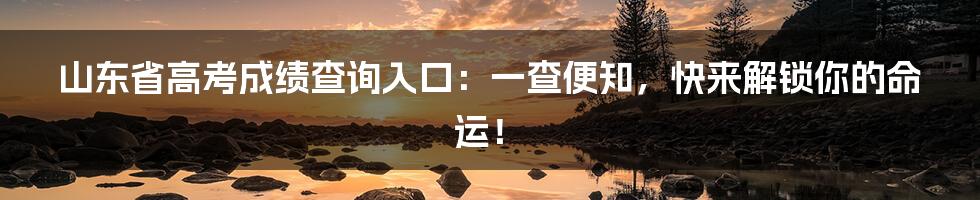 山东省高考成绩查询入口：一查便知，快来解锁你的命运！