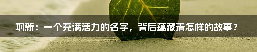 巩新：一个充满活力的名字，背后蕴藏着怎样的故事？