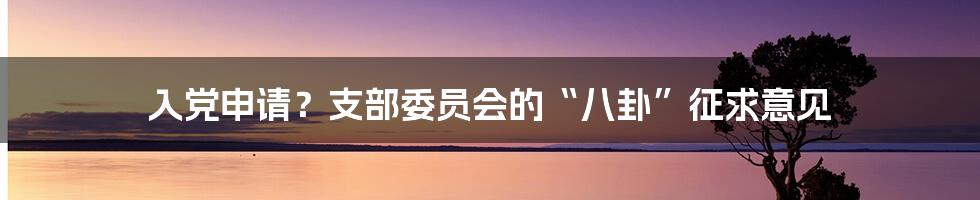 入党申请？支部委员会的“八卦”征求意见