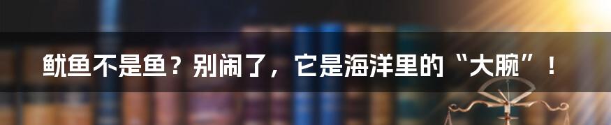 鱿鱼不是鱼？别闹了，它是海洋里的“大腕”！