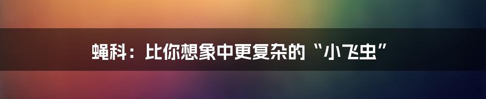 蝇科：比你想象中更复杂的“小飞虫”