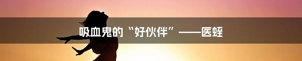 吸血鬼的“好伙伴”——医蛭