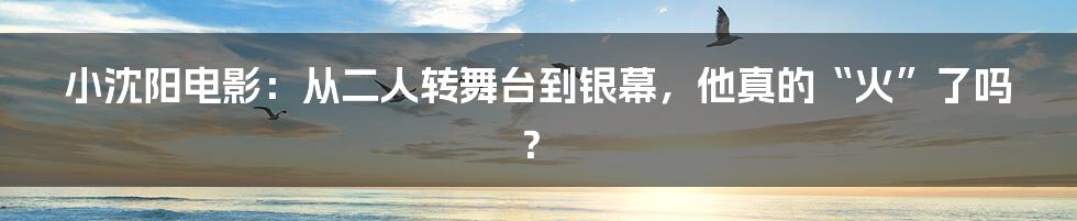 小沈阳电影：从二人转舞台到银幕，他真的“火”了吗？