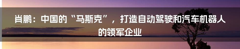 肖鹏：中国的“马斯克”，打造自动驾驶和汽车机器人的领军企业