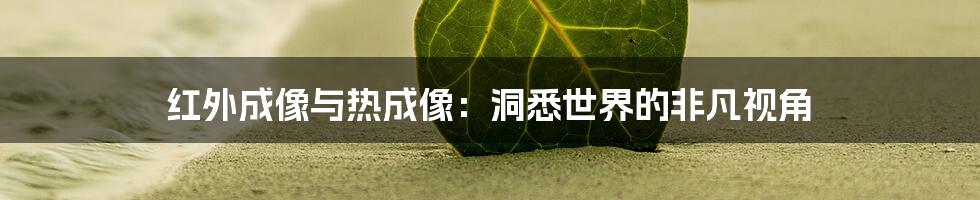 红外成像与热成像：洞悉世界的非凡视角