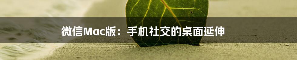 微信Mac版：手机社交的桌面延伸