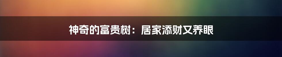 神奇的富贵树：居家添财又养眼