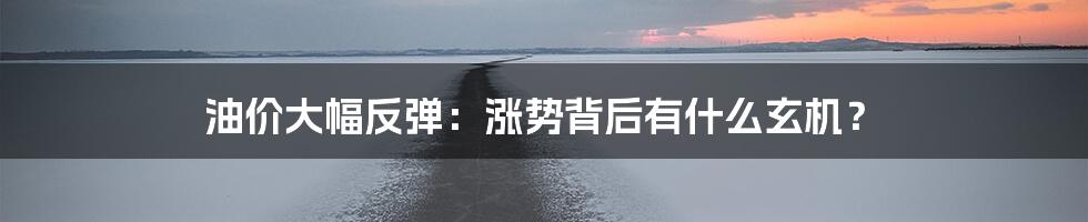 油价大幅反弹：涨势背后有什么玄机？