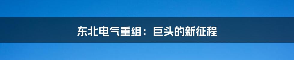 东北电气重组：巨头的新征程