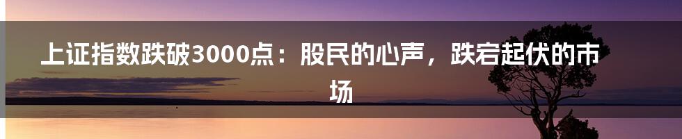 上证指数跌破3000点：股民的心声，跌宕起伏的市场