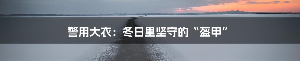 警用大衣：冬日里坚守的“盔甲”