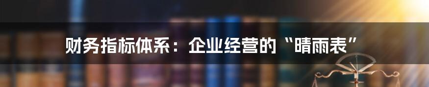 财务指标体系：企业经营的“晴雨表”