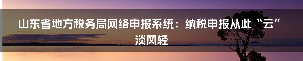 山东省地方税务局网络申报系统：纳税申报从此“云”淡风轻