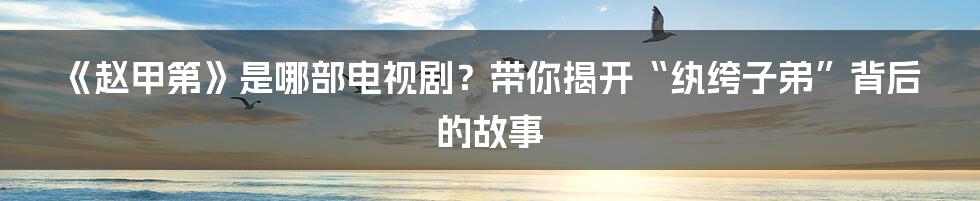 《赵甲第》是哪部电视剧？带你揭开“纨绔子弟”背后的故事