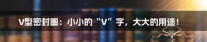 V型密封圈：小小的“V”字，大大的用途！