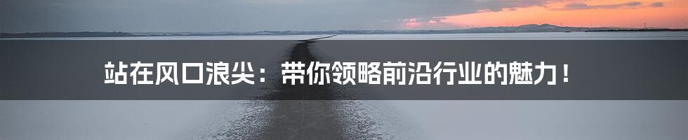 站在风口浪尖：带你领略前沿行业的魅力！