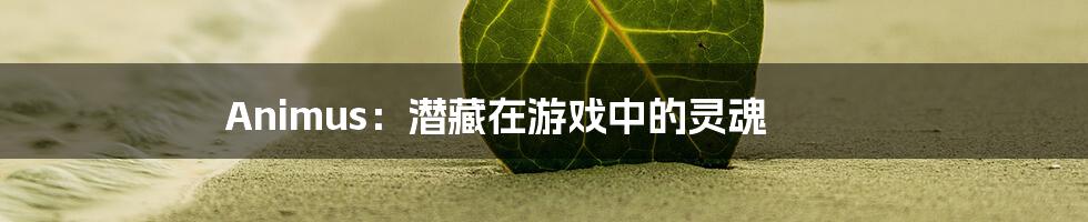 Animus：潜藏在游戏中的灵魂