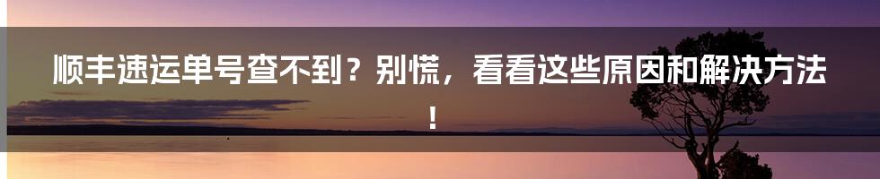 顺丰速运单号查不到？别慌，看看这些原因和解决方法！