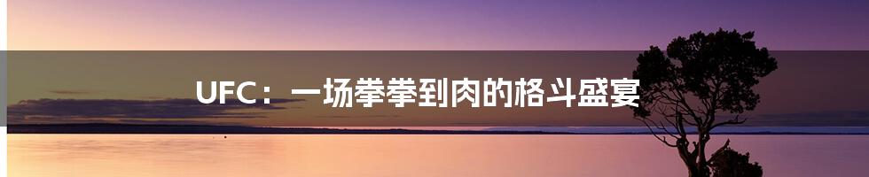 UFC：一场拳拳到肉的格斗盛宴