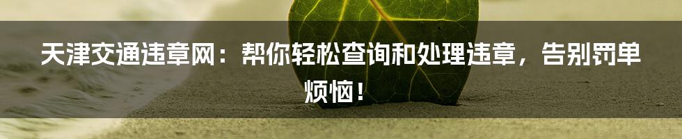 天津交通违章网：帮你轻松查询和处理违章，告别罚单烦恼！