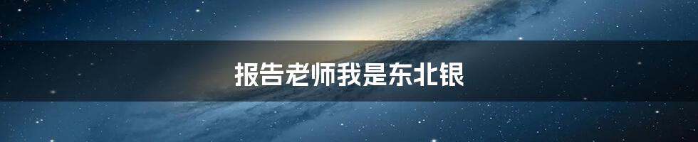 报告老师我是东北银