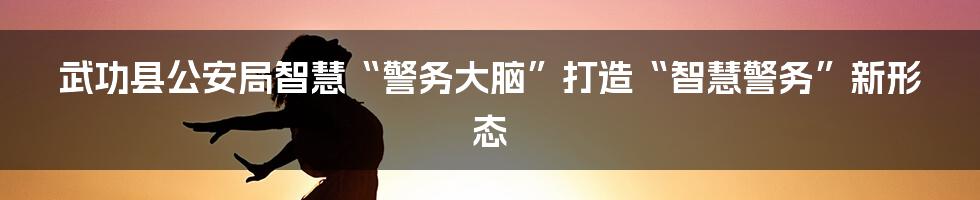 武功县公安局智慧“警务大脑”打造“智慧警务”新形态