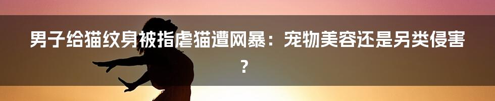 男子给猫纹身被指虐猫遭网暴：宠物美容还是另类侵害？