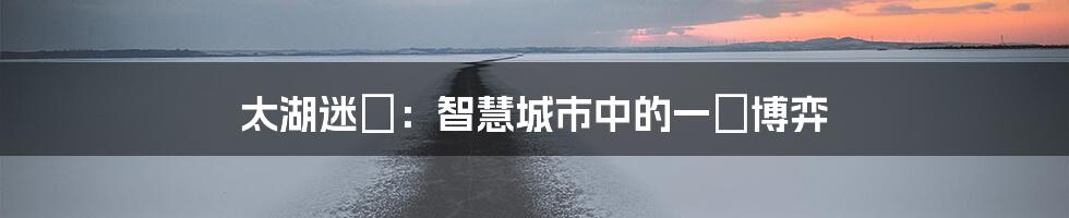 太湖迷霧：智慧城市中的一場博弈