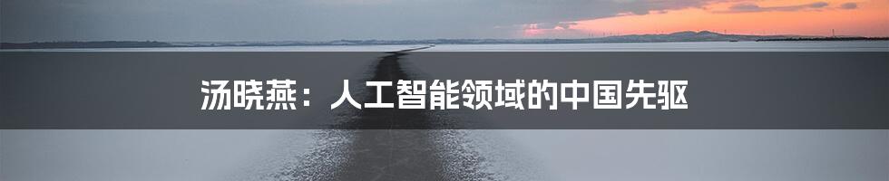 汤晓燕：人工智能领域的中国先驱