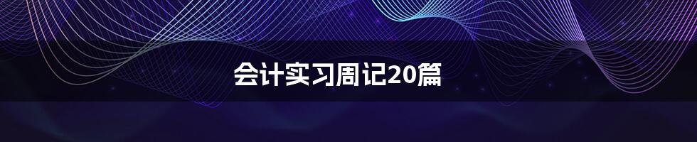 会计实习周记20篇