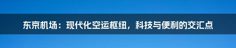 东京机场：现代化空运枢纽，科技与便利的交汇点