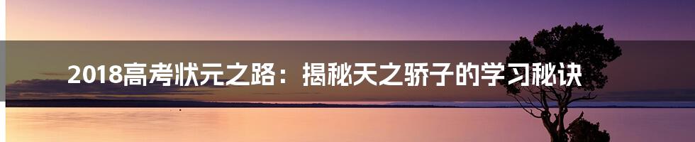 2018高考状元之路：揭秘天之骄子的学习秘诀