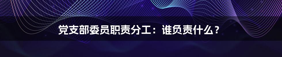 党支部委员职责分工：谁负责什么？