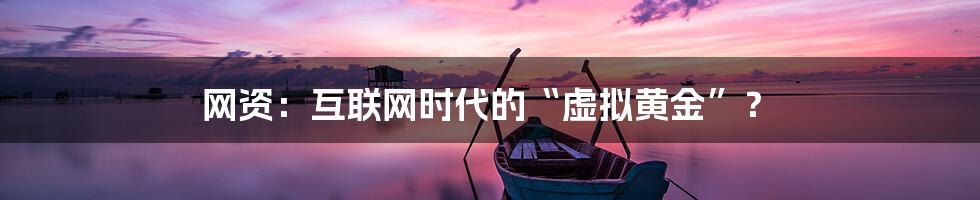 网资：互联网时代的“虚拟黄金”？