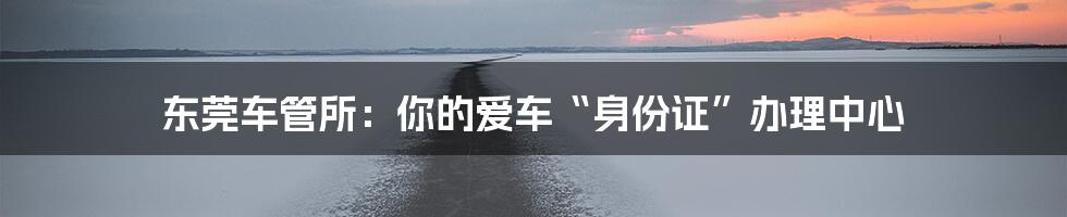 东莞车管所：你的爱车“身份证”办理中心