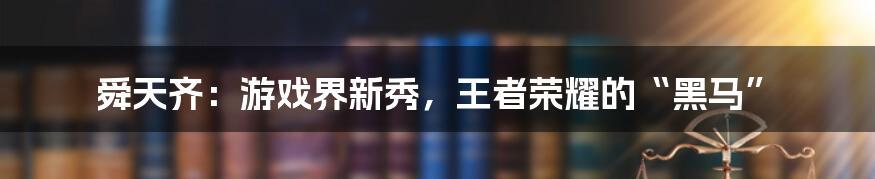 舜天齐：游戏界新秀，王者荣耀的“黑马”