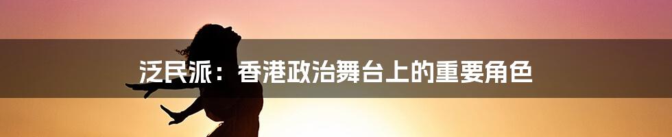 泛民派：香港政治舞台上的重要角色