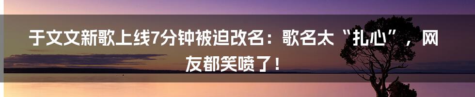 于文文新歌上线7分钟被迫改名：歌名太“扎心”，网友都笑喷了！