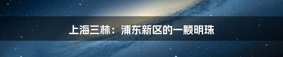 上海三林：浦东新区的一颗明珠